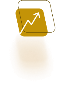 vector